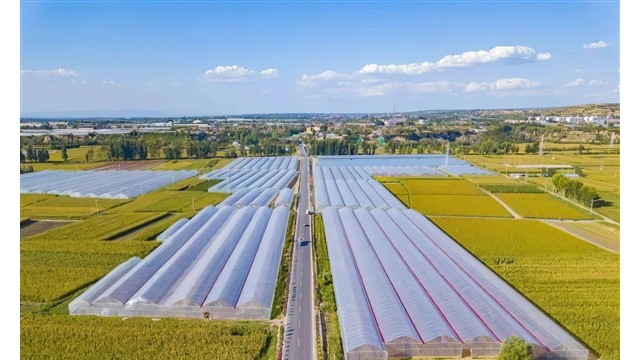 绘就&ldquo;特&rdquo;&ldquo;优&rdquo;乡村振兴新图景  &mdash;&mdash;晋中市全力建设全国一流农业创新高地