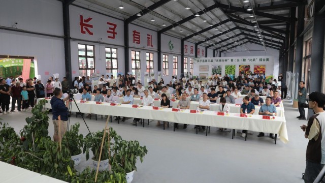 长子县举办第三届&ldquo;农商行杯&rdquo;青（尖）椒&ldquo;比武&rdquo;擂台赛