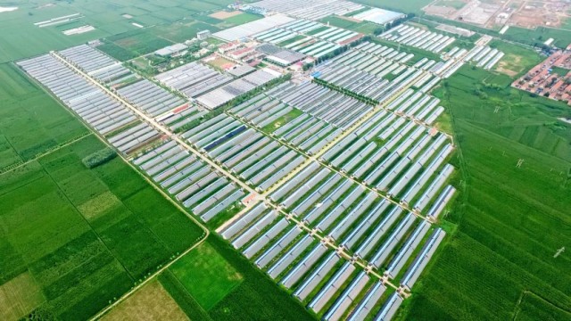 学习运用&ldquo;千万工程&rdquo;经验丨长子县宋村镇东郭村因地制宜发展特色产业蹚出致富新路​