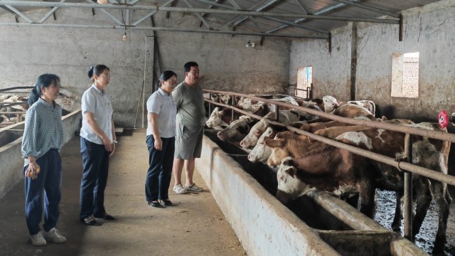 金融赋能&ldquo;牛羊旺&rdquo; 共绘乡村致富图