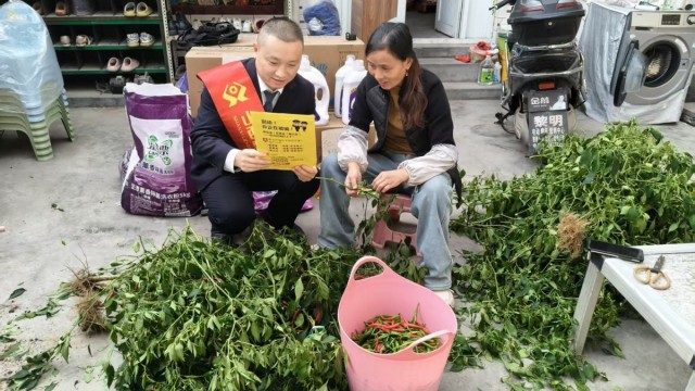 黎城农商银行看后分理处：稻菽千重浪 金融作脊梁 &ldquo;护粮季&rdquo;专项行动把丰收护送进农户&ldquo;口袋&rdquo;里