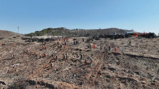 长治市平顺：春日&ldquo;复绿&rdquo;记