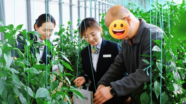 【春耕备耕】不误农时不负春 金融护航保春耕