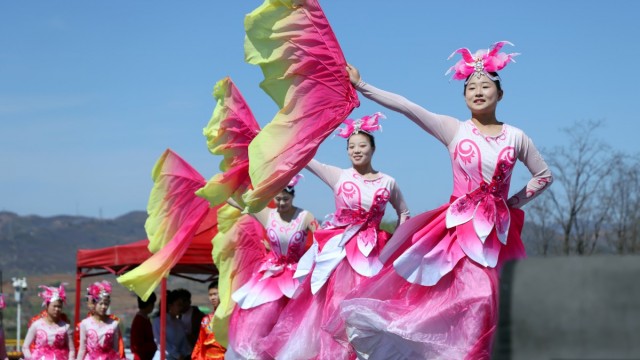 　2026太行山旅游季木化石景区梨花连翘花海暨低空旅游周盛情启幕