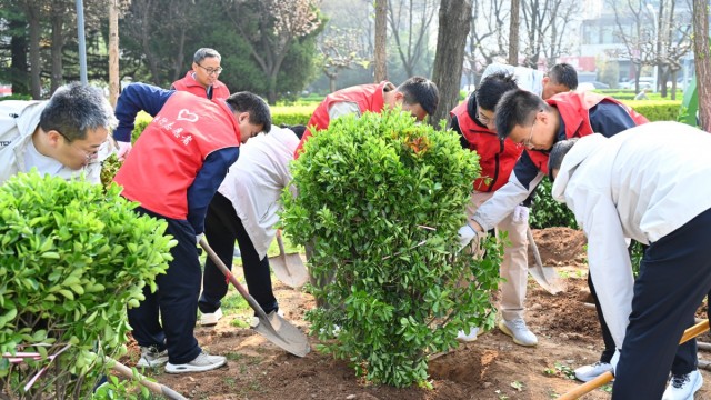 植绿青年林 奋进新征程   2026年&ldquo;城市共建&rdquo;青年林志愿植树活动